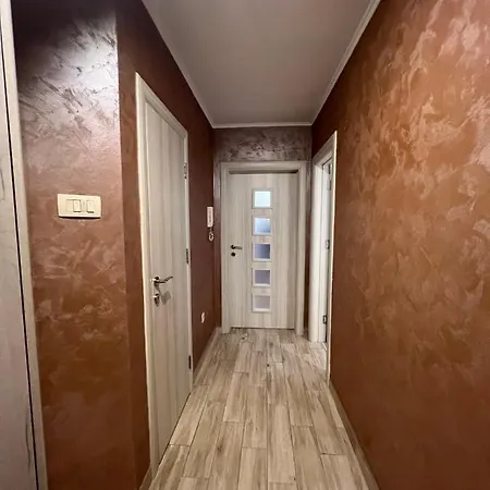 Apartment Zak